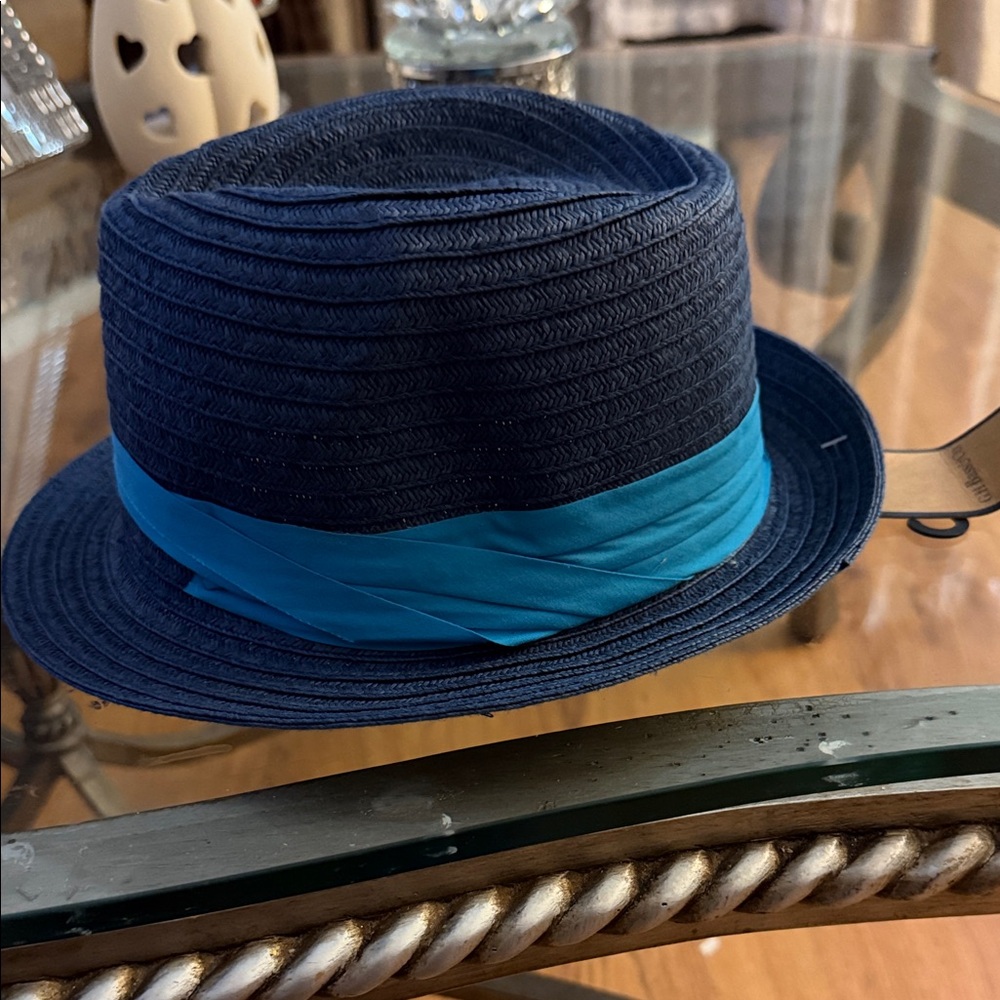 Stylish Blue Fedora Hat